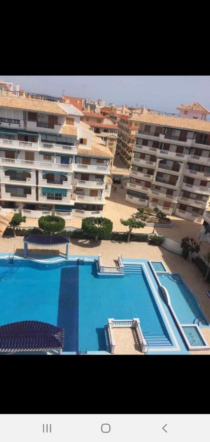 Lux Apartamento Lejlighed La Mata  Eksteriør billede